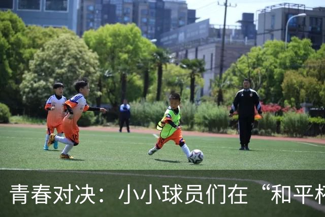 青春对决：小小球员们在“和平杯”上演精彩较量